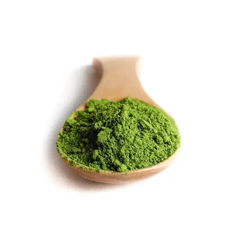 Matcha herbanica / thé vert en poudre du Japon