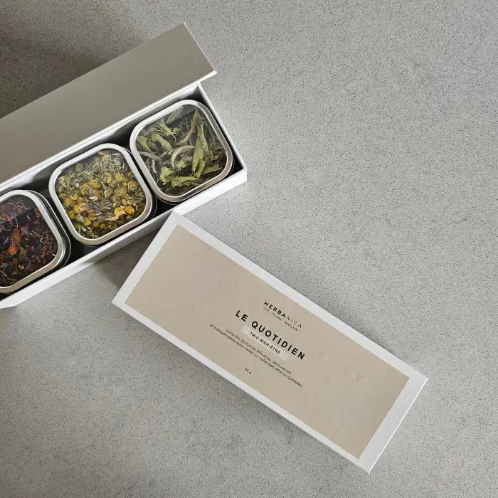 BOÎTE À TISANES LE QUOTIDIEN - LE QUOTIDIEN - boîte à